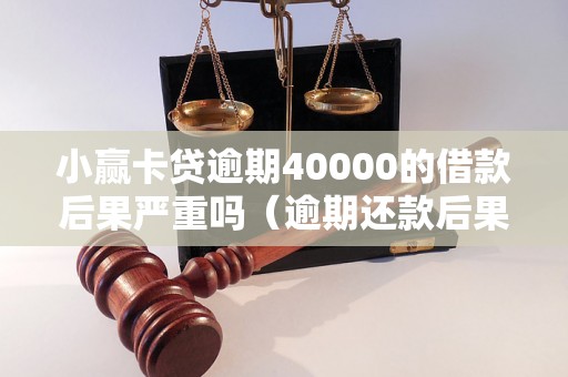 小赢卡贷逾期40000的借款后果严重吗（逾期还款后果详解）