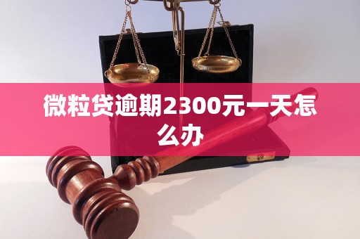 微粒贷逾期2300元一天怎么办