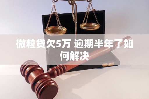 微粒贷欠5万 逾期半年了如何解决