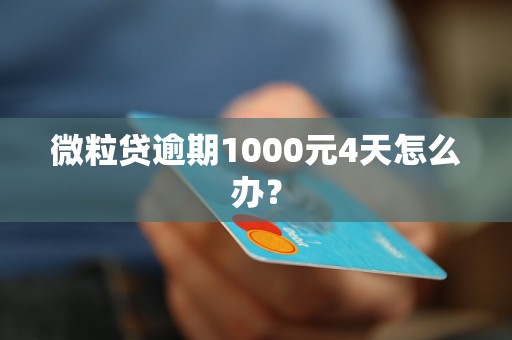 微粒贷逾期1000元4天怎么办？