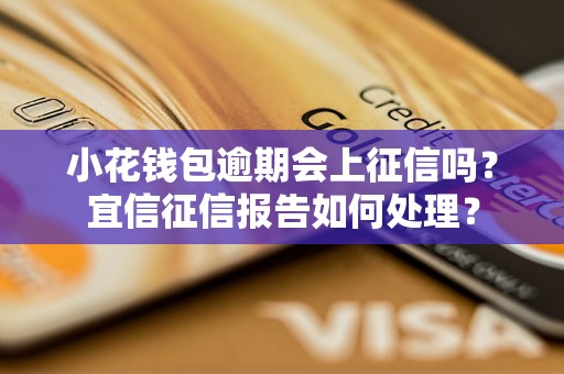 小花钱包逾期会上征信吗？宜信征信报告如何处理？