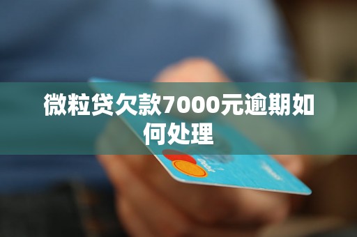 微粒贷欠款7000元逾期如何处理