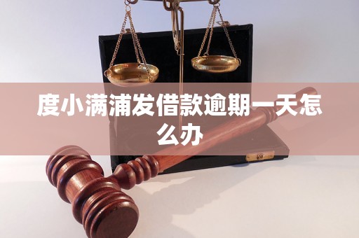 度小满浦发借款逾期一天怎么办