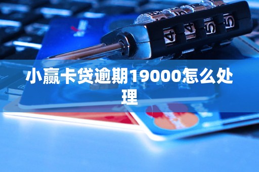 小赢卡贷逾期19000怎么处理