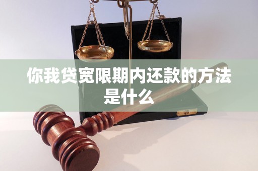 你我贷宽限期内还款的方法是什么