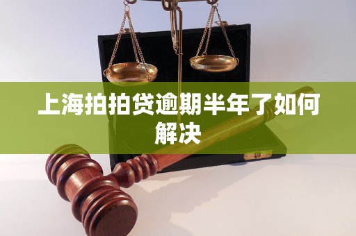 上海拍拍贷逾期半年了如何解决