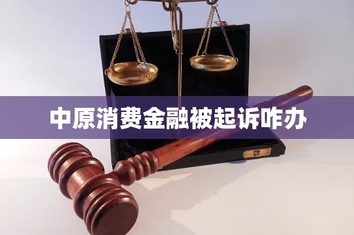 中原消费金融被起诉咋办