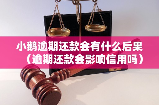 小鹅逾期还款会有什么后果（逾期还款会影响信用吗）