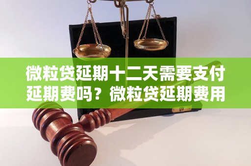 微粒贷延期十二天需要支付延期费吗？微粒贷延期费用是多少？