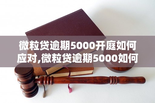 微粒贷逾期5000开庭如何应对,微粒贷逾期5000如何避免被起诉