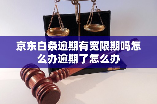 京东白条逾期有宽限期吗怎么办逾期了怎么办