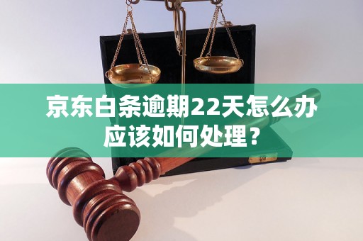 京东白条逾期22天怎么办应该如何处理？