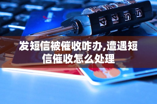 发短信被催收咋办,遭遇短信催收怎么处理