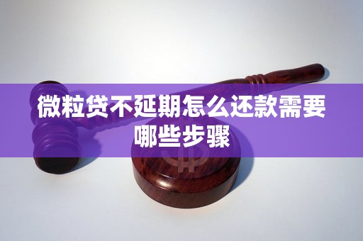 微粒贷不延期怎么还款需要哪些步骤