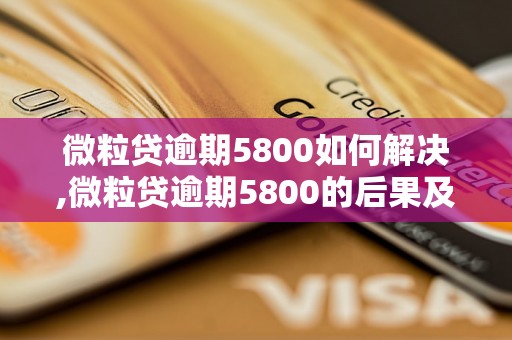 微粒贷逾期5800如何解决,微粒贷逾期5800的后果及处理方法