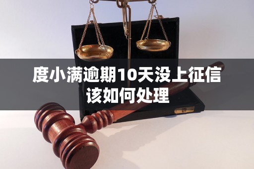 度小满逾期10天没上征信该如何处理