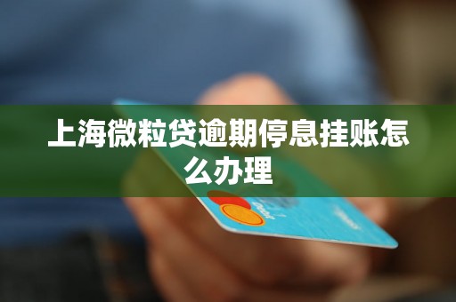 上海微粒贷逾期停息挂账怎么办理