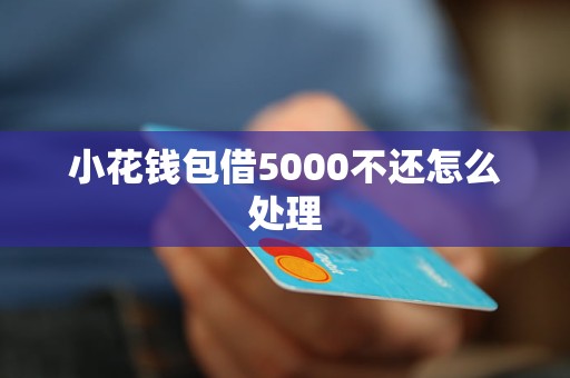 小花钱包借5000不还怎么处理