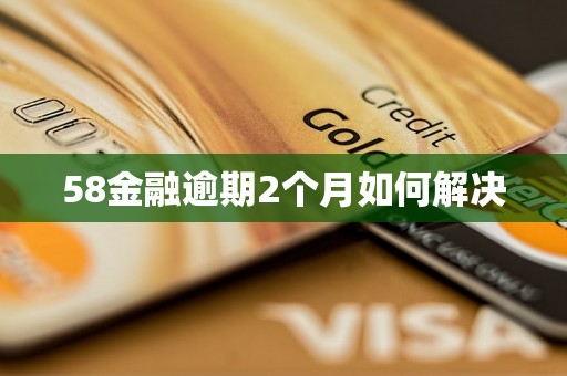 58金融逾期2个月如何解决