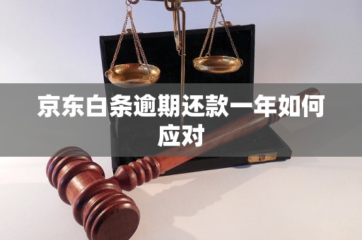 京东白条逾期还款一年如何应对