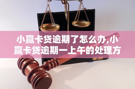 小赢卡贷逾期了怎么办,小赢卡贷逾期一上午的处理方法