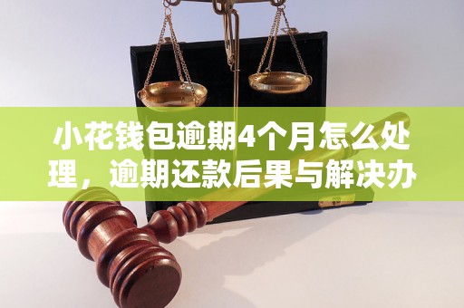 小花钱包逾期4个月怎么处理，逾期还款后果与解决办法