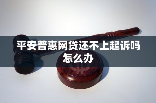 平安普惠网贷还不上起诉吗怎么办