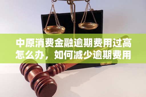 中原消费金融逾期费用过高怎么办，如何减少逾期费用