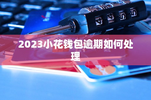 2023小花钱包逾期如何处理