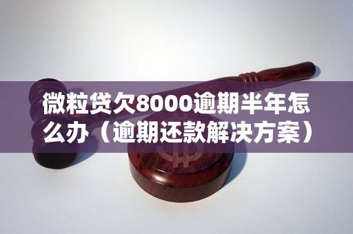 微粒贷欠8000逾期半年怎么办（逾期还款解决方案）