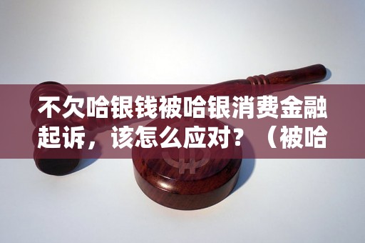 不欠哈银钱被哈银消费金融起诉，该怎么应对？（被哈银消费金融起诉应该如何申辩）