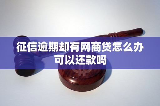 征信逾期却有网商贷怎么办可以还款吗