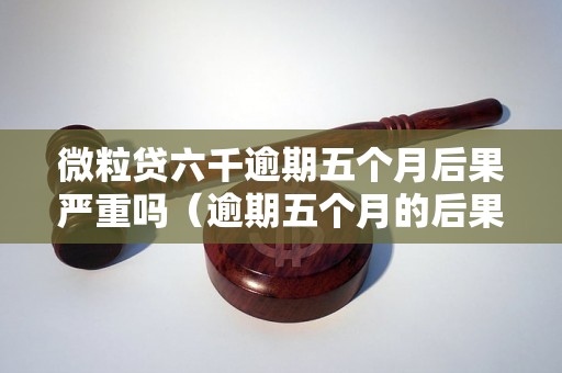 微粒贷六千逾期五个月后果严重吗（逾期五个月的后果及处理方法）