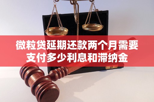 微粒贷延期还款两个月需要支付多少利息和滞纳金