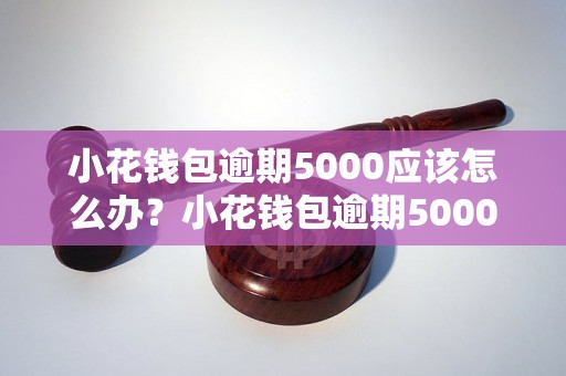 小花钱包逾期5000应该怎么办？小花钱包逾期5000催收流程解析