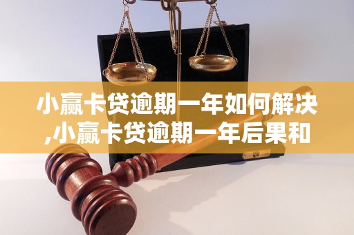 小赢卡贷逾期一年如何解决,小赢卡贷逾期一年后果和处理方法