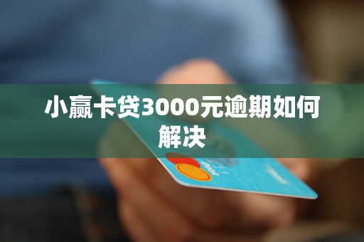 小赢卡贷3000元逾期如何解决