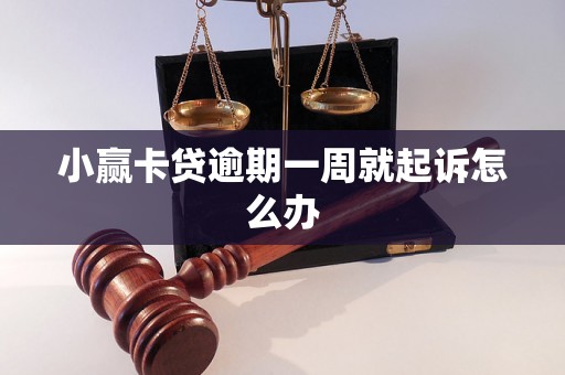 小赢卡贷逾期一周就起诉怎么办