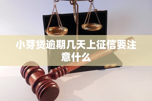 小芽贷逾期几天上征信要注意什么