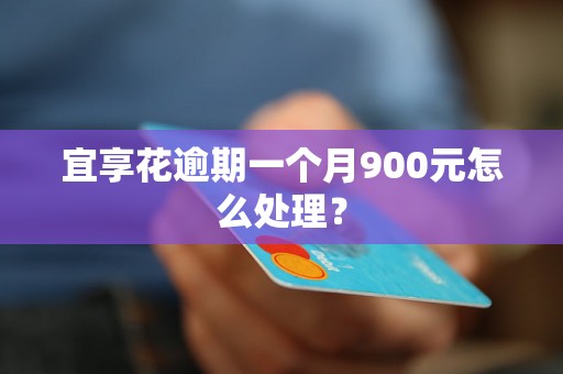 宜享花逾期一个月900元怎么处理？