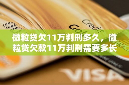 微粒贷欠11万判刑多久，微粒贷欠款11万判刑需要多长时间