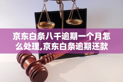 京东白条八千逾期一个月怎么处理,京东白条逾期还款解决方法