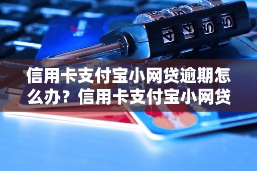 信用卡支付宝小网贷逾期怎么办？信用卡支付宝小网贷逾期后果