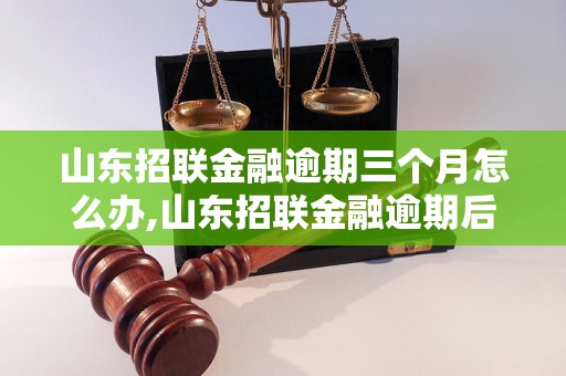 山东招联金融逾期三个月怎么办,山东招联金融逾期后的处理方法