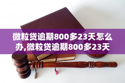 微粒贷逾期800多23天怎么办,微粒贷逾期800多23天后果严重吗