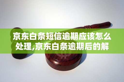 京东白条短信逾期应该怎么处理,京东白条逾期后的解决方法