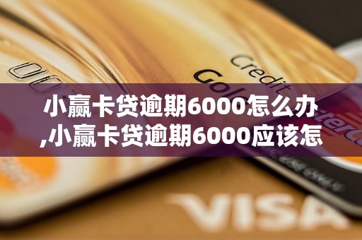 小赢卡贷逾期6000怎么办,小赢卡贷逾期6000应该怎么处理