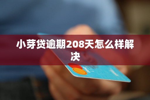 小芽贷逾期208天怎么样解决