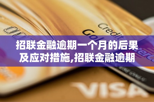 招联金融逾期一个月的后果及应对措施,招联金融逾期一个月会有什么后果