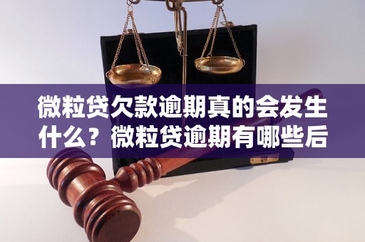 微粒贷欠款逾期真的会发生什么？微粒贷逾期有哪些后果？